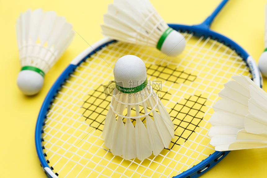 青少年时期 青少年时期