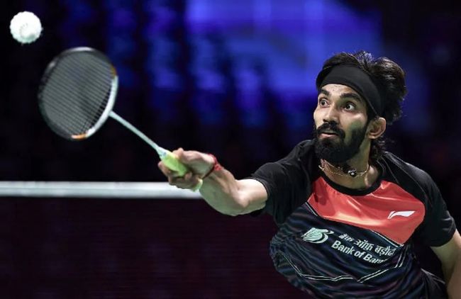 灰熊的战绩 灰熊的战绩