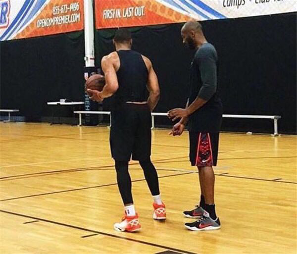 路回内的 路回内的